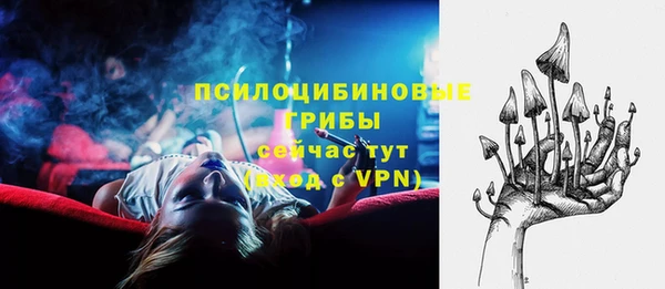 СК Абинск