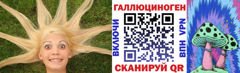 Галлюциногенные грибы GOLDEN TEACHER  цены   Плавск 